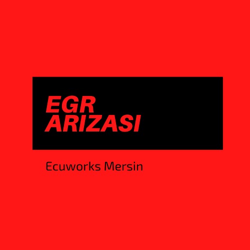 egr arızası
